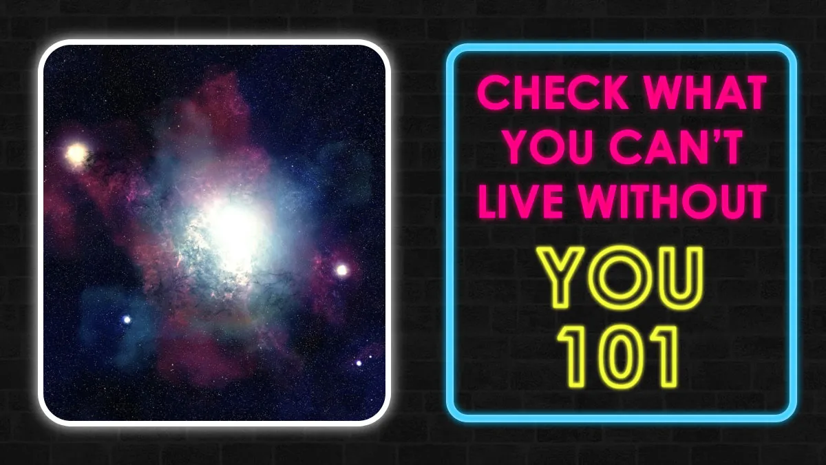 This Test Determines What You Can't Live Without: Answer These 20 Questions & Get Your Results