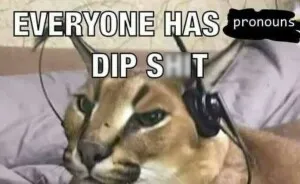 Hey Pandas, Share Your Favourite Queer Memes (Closed)