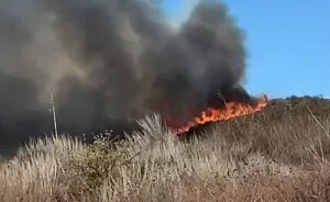 Chilling Footage Of Young Men Fleeing Apparent Starting Point Of LA Fire Sparks Wild Theories