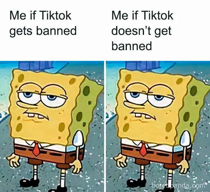 Social Media Can’t Stop Joking About The TikTok Ban, Sparking These 30 Brilliant Memes