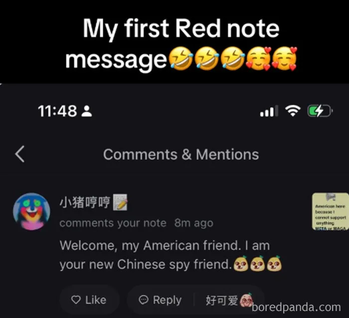 Social Media Can’t Stop Joking About The TikTok Ban, Sparking These 30 Brilliant Memes