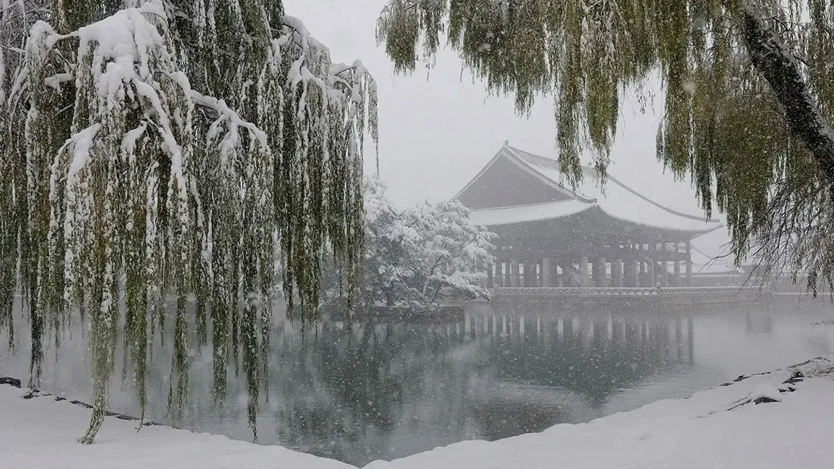 Around The World In Photos: AAP Magazine Celebrates The 45th ‘Travels’ Contest
