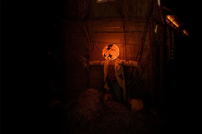 30 Urban Legends That Were Real All Along