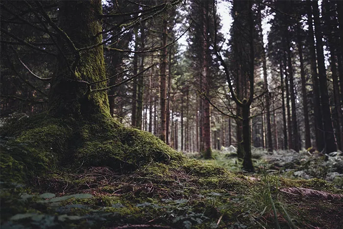 30 Urban Legends That Were Real All Along