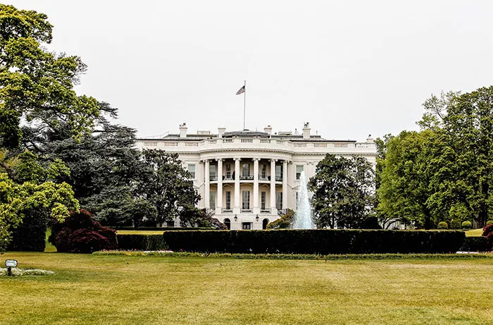 30 Bodyguards Reveal What It’s Like Protecting The Rich And Famous
