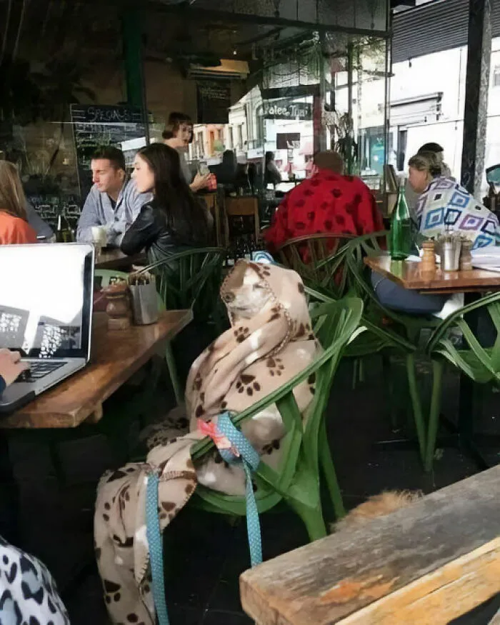 Cuando te invitan a desayunar muy temprano
