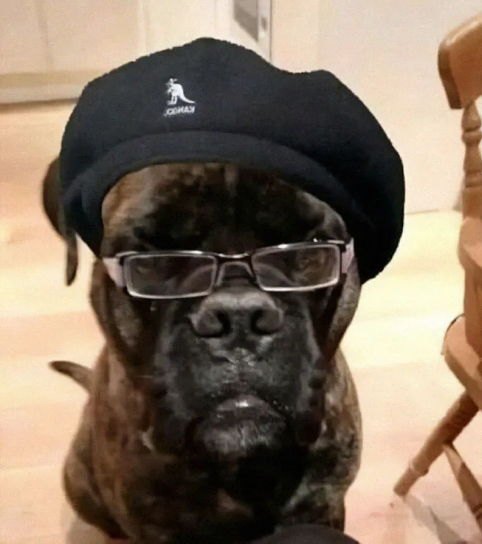 The Best Samuel L. Jackson Impersonation Ever