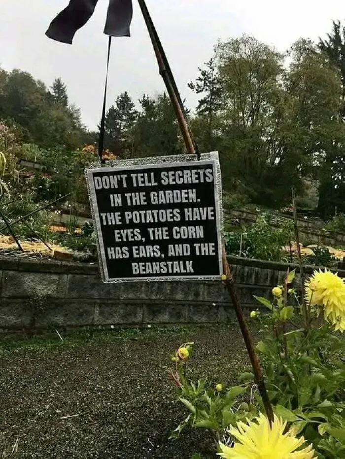 The Not So Secret Garden