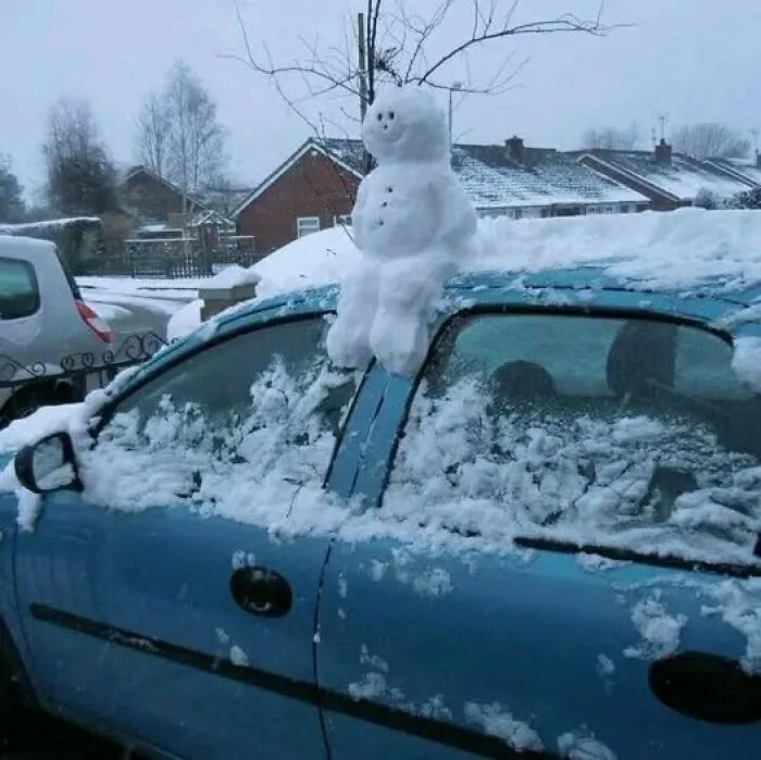 I'd Die Laughing If I Found This On My Car