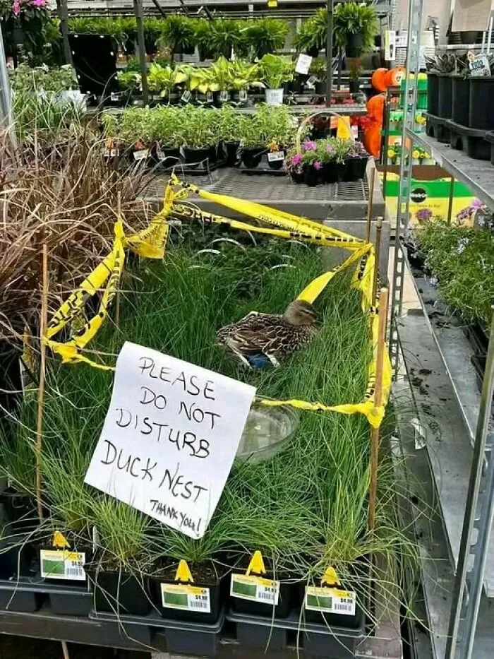 At Local Walmart