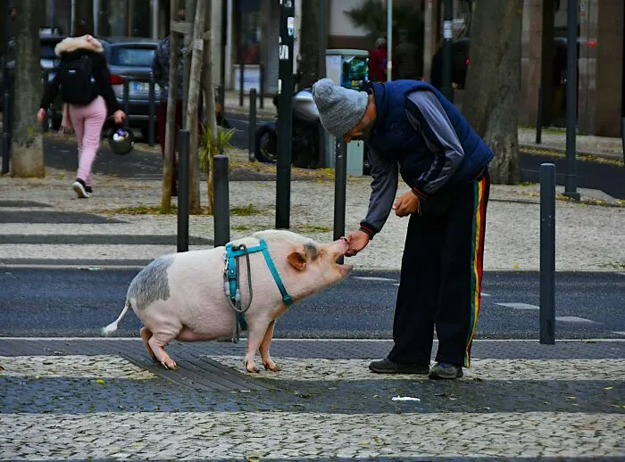 50 Times Deliveries Went Off The Rails In The Most Embarrassing Ways