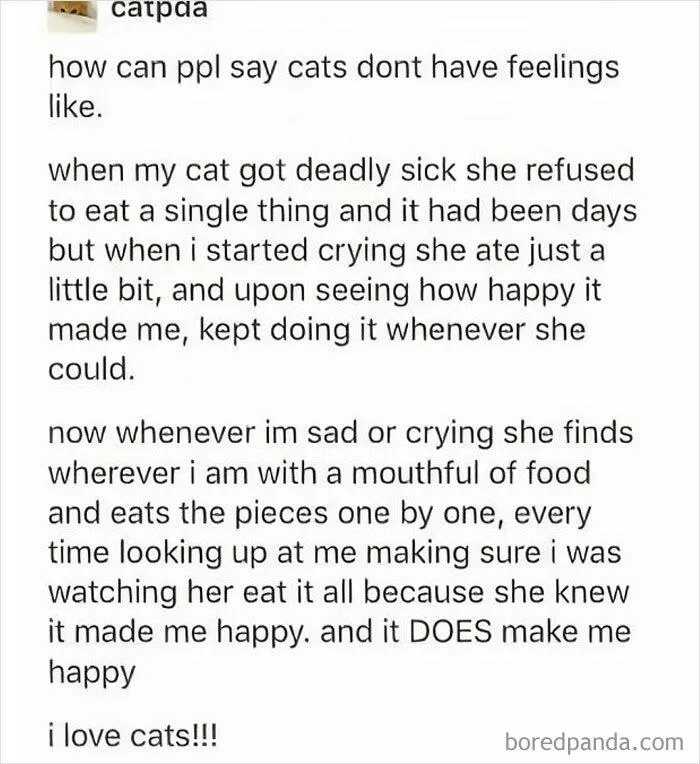 50 Wholesome Pics That Hit Harder Than A Pixar Montage (Best Of All Time)