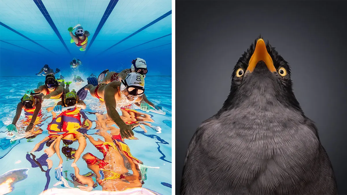 The 41 Most Stunning Winning Photos Of 2024 reFocus Photographer Of The Year