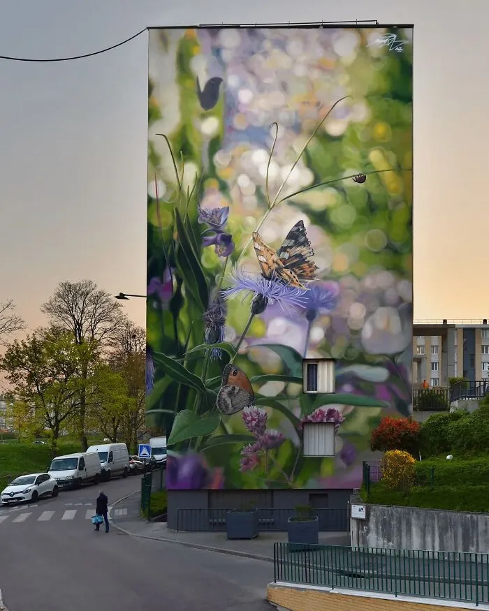Specimen Boxes: 33 Giant Butterfly Murals Painted By This French Artist Across The World (New Pics)