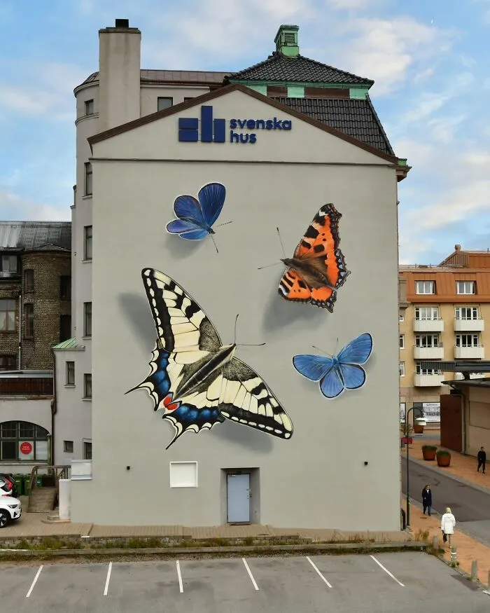 Specimen Boxes: 33 Giant Butterfly Murals Painted By This French Artist Across The World (New Pics)