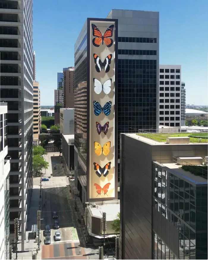 Specimen Boxes: 33 Giant Butterfly Murals Painted By This French Artist Across The World (New Pics)