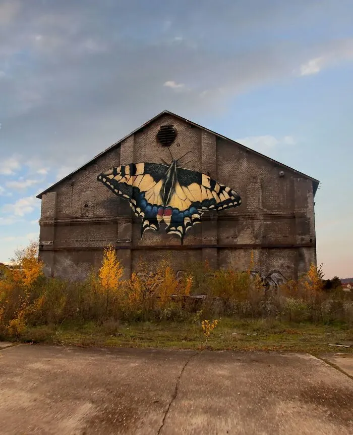 Specimen Boxes: 33 Giant Butterfly Murals Painted By This French Artist Across The World (New Pics)