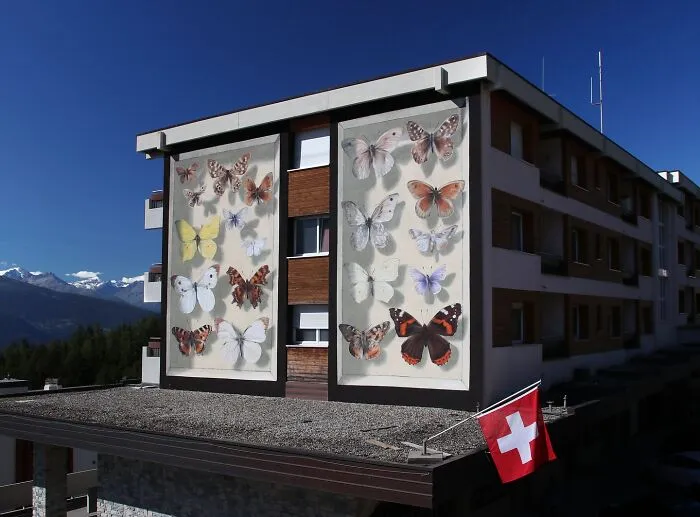 Specimen Boxes: 33 Giant Butterfly Murals Painted By This French Artist Across The World (New Pics)