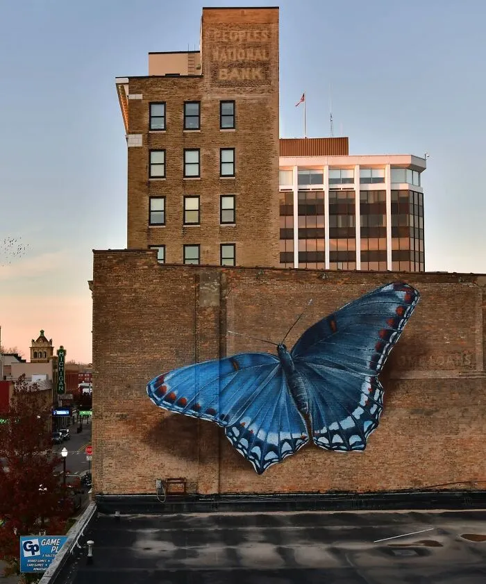 Specimen Boxes: 33 Giant Butterfly Murals Painted By This French Artist Across The World (New Pics)