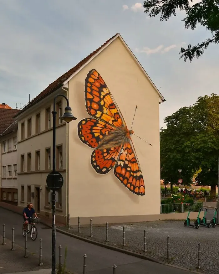 Specimen Boxes: 33 Giant Butterfly Murals Painted By This French Artist Across The World (New Pics)