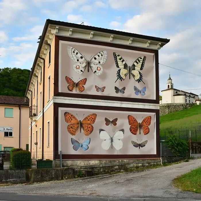 Specimen Boxes: 33 Giant Butterfly Murals Painted By This French Artist Across The World (New Pics)