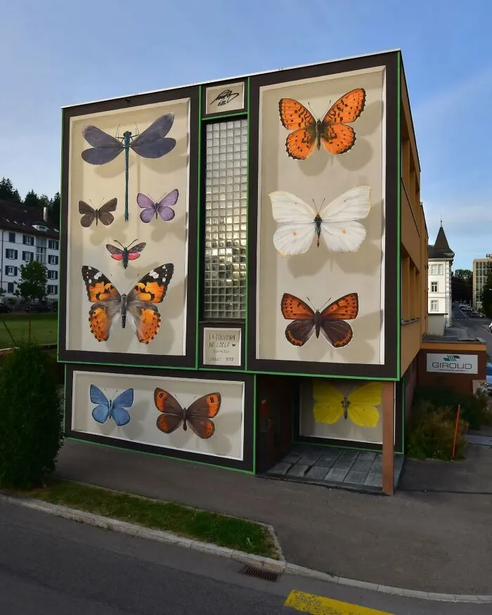 Specimen Boxes: 33 Giant Butterfly Murals Painted By This French Artist Across The World (New Pics)