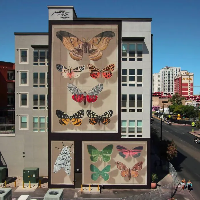 Specimen Boxes: 33 Giant Butterfly Murals Painted By This French Artist Across The World (New Pics)
