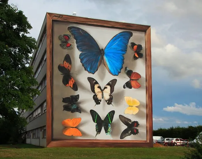 Specimen Boxes: 33 Giant Butterfly Murals Painted By This French Artist Across The World (New Pics)