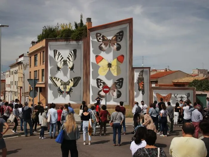 Specimen Boxes: 33 Giant Butterfly Murals Painted By This French Artist Across The World (New Pics)