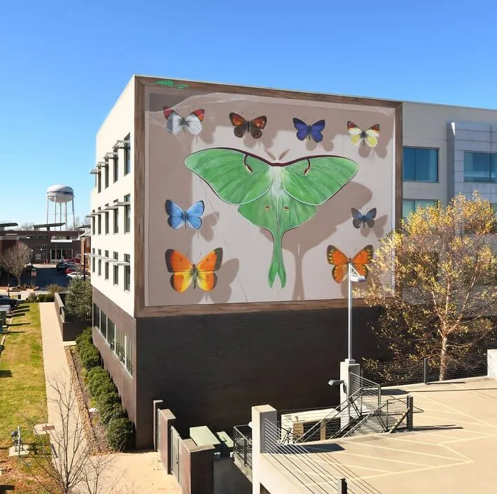 Specimen Boxes: 33 Giant Butterfly Murals Painted By This French Artist Across The World (New Pics)