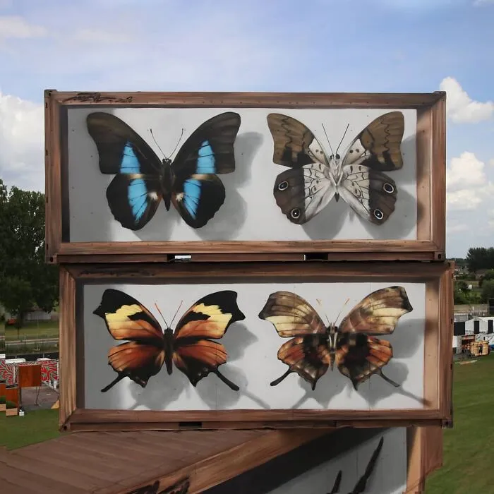 Specimen Boxes: 33 Giant Butterfly Murals Painted By This French Artist Across The World (New Pics)