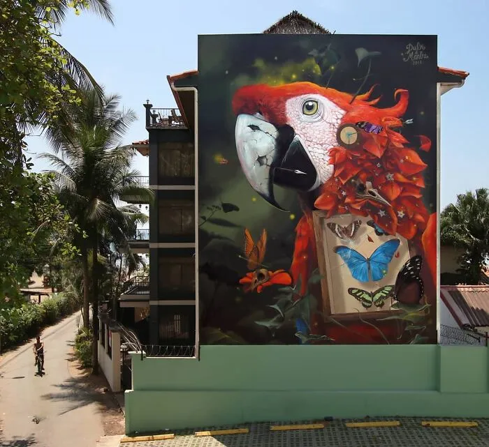 Specimen Boxes: 33 Giant Butterfly Murals Painted By This French Artist Across The World (New Pics)