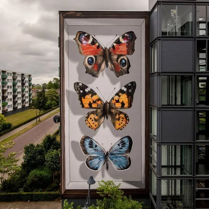 Specimen Boxes: 33 Giant Butterfly Murals Painted By This French Artist Across The World (New Pics)