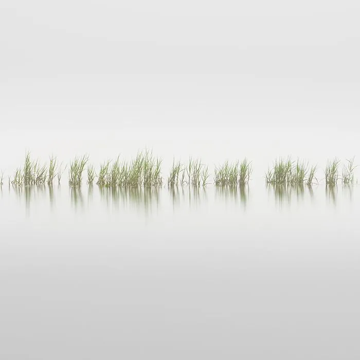 2nd Place In Fine Art: "Kanso" By Alessandro Tagliapietra