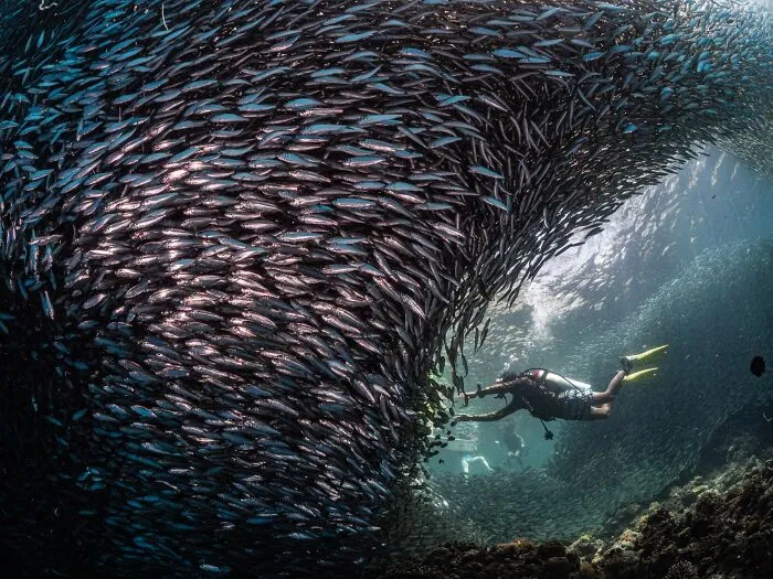 Amateur/Student 2nd Place In Nature: "Gateway To The Ocean" By Ting-Yin Wang