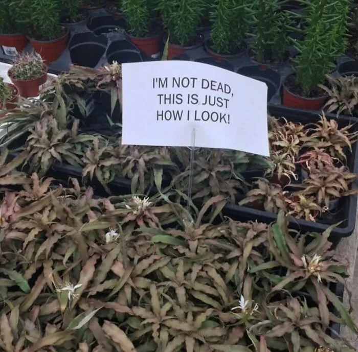 30 Of The Most Bizarre Things Seen In People’s Gardens And Yards (New Pics)
