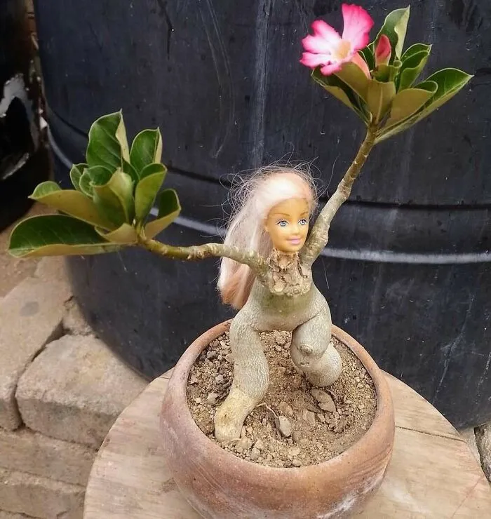 30 Of The Most Bizarre Things Seen In People’s Gardens And Yards (New Pics)