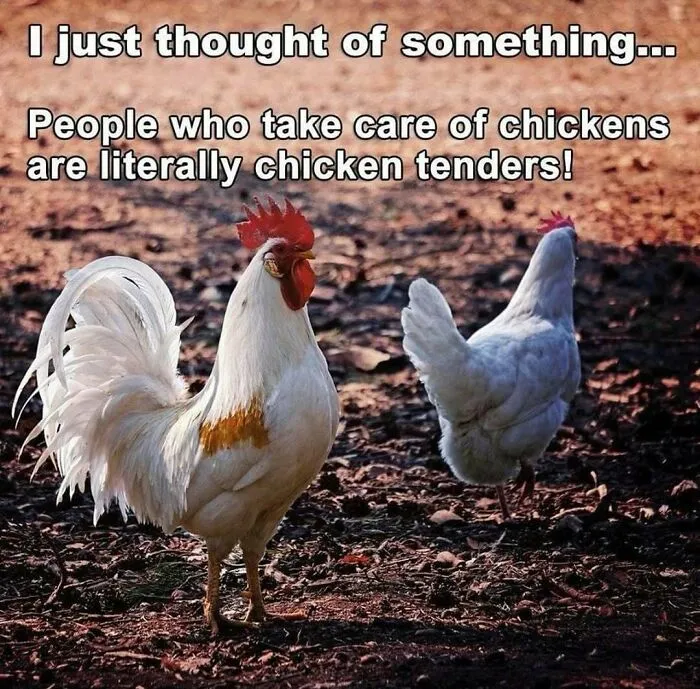 50 Funny Memes That Show Why Country Living Isn’t As Peaceful As You Think