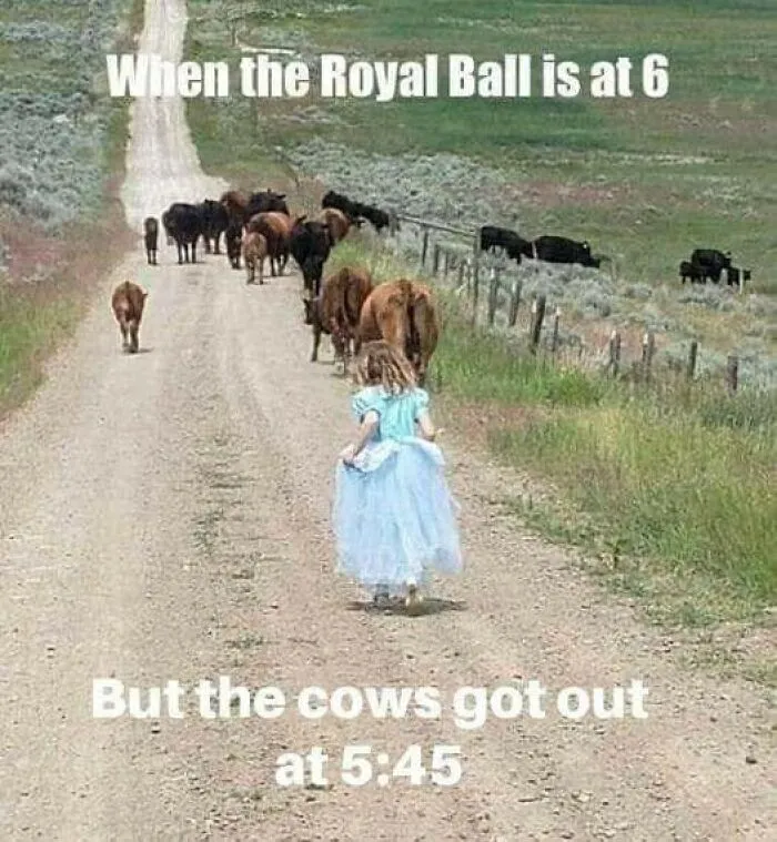 50 Funny Memes That Show Why Country Living Isn’t As Peaceful As You Think