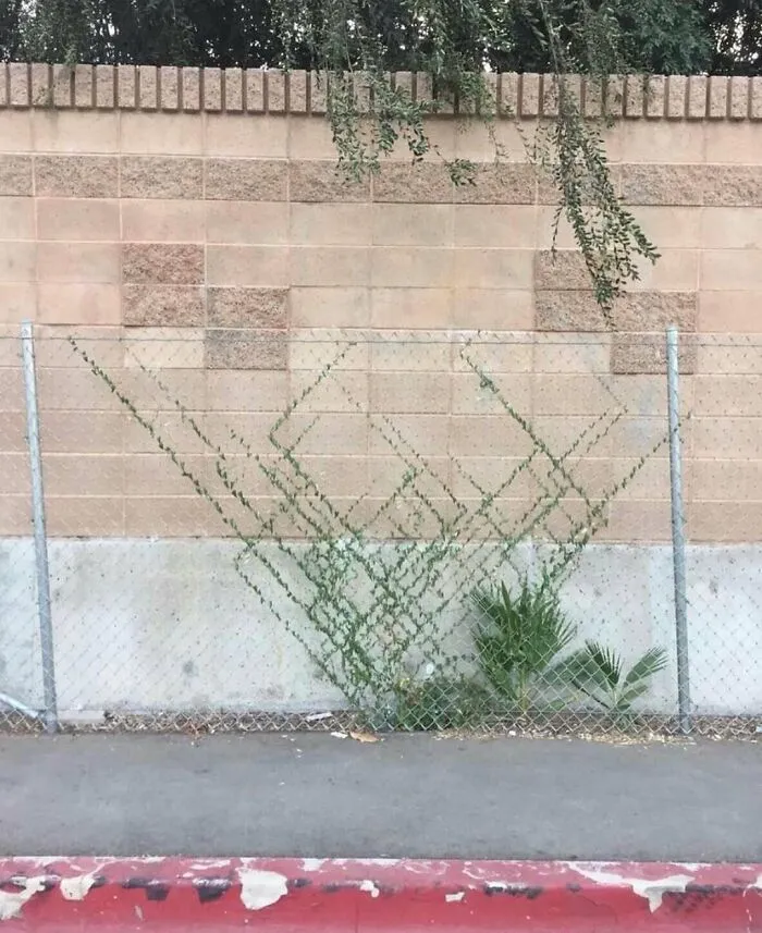30 Of The Most Bizarre Things Seen In People’s Gardens And Yards (New Pics)