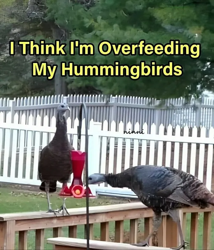 50 Funny Memes That Show Why Country Living Isn’t As Peaceful As You Think