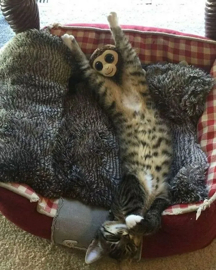 50 Posts So Unhinged, You May End Up Laughing While Glancing Over Your Shoulder