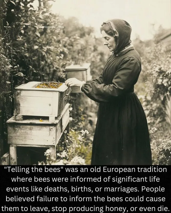 50 Fascinating History Stories Shared Online That Might Surprise You