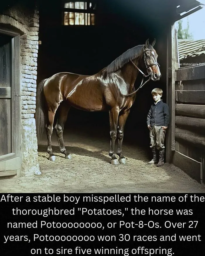 50 Fascinating History Stories Shared Online That Might Surprise You