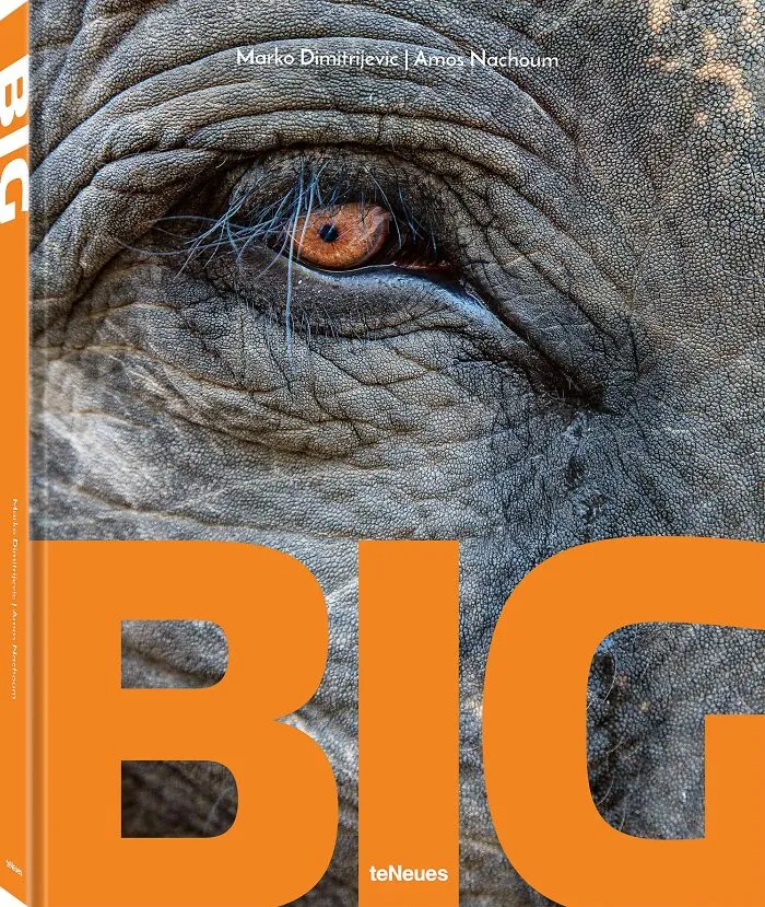 Amateur/Student Gold In Book/Nature, 2nd Place Winner In Book: "Big" By Marko Dimitrijevic And Amos Nachoum