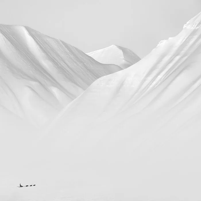 Amateur/Student Gold In Fine Art/Landscape, 1st Place Winner In Fine Art: "Arctic Silence 5" By Patrick Ems