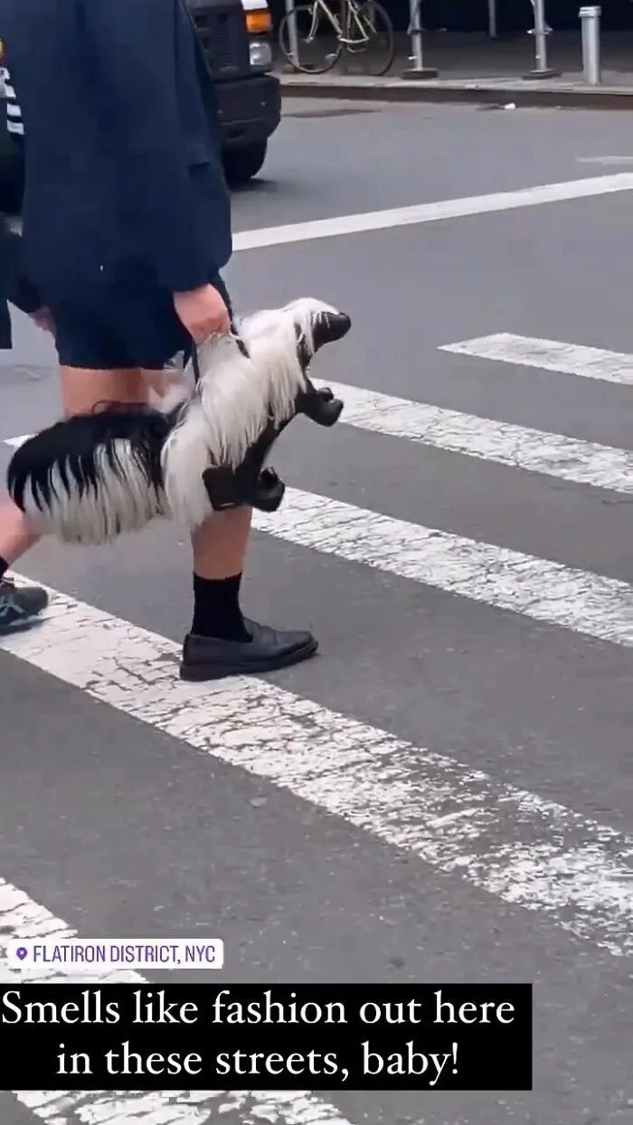 Hold My Bagel: 30 Iconically Bizarre Fashion Looks That Got Spotted In NYC