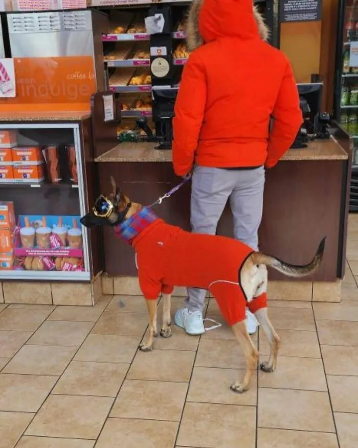 Hold My Bagel: 30 Iconically Bizarre Fashion Looks That Got Spotted In NYC