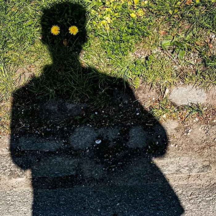 30 Of The Most Bizarre Things Seen In People’s Gardens And Yards (New Pics)