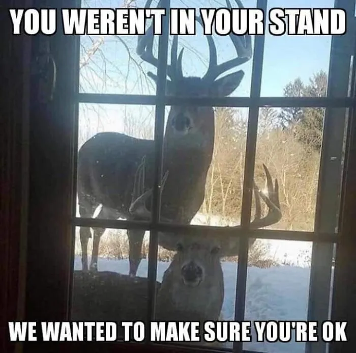 50 Funny Memes That Show Why Country Living Isn’t As Peaceful As You Think